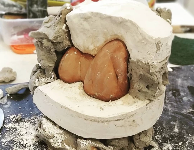 Un moule en plâtre en cours